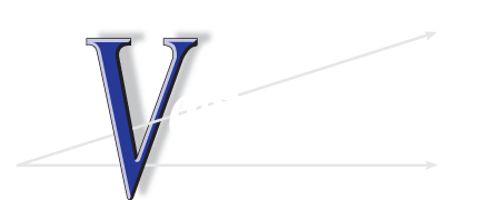 The Vector Group